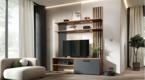 КАРОЛИНА Гостиная (дуб вотан/графит) в Екатеринбурге - mebel24.online | фото