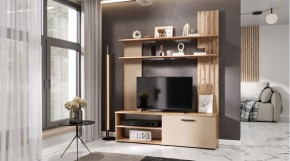 КАРОЛИНА Гостиная (дуб вотан/кашемир) в Екатеринбурге - mebel24.online | фото