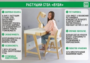 Комплект растущий стол и стул с чехлом 38 попугаев «Вуди» (Серый, Береза, Салют) в Екатеринбурге - mebel24.online | фото