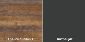 Кухня угловая Трансильвания 2600х1600 мм (Стол. 38 мм) в Екатеринбурге - mebel24.online | фото 3