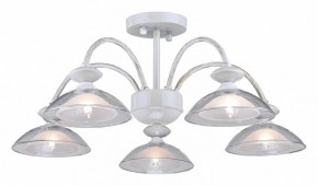 Люстра на штанге Arti Lampadari Noventa Noventa E 1.1.5 W в Екатеринбурге - mebel24.online | фото
