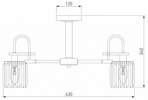 Люстра на штанге Eurosvet Tenia 70090/5 графит в Екатеринбурге - mebel24.online | фото 4