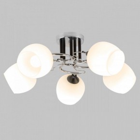 Люстра на штанге Imex MD.3618 MD.3618-5-S-CH+BK в Екатеринбурге - mebel24.online | фото 2
