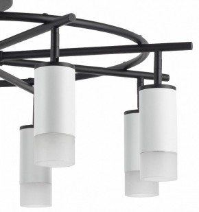 Люстра на штанге Lightstar Rullo LR7183681 в Екатеринбурге - mebel24.online | фото 4