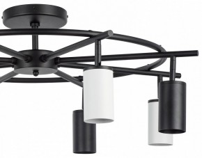 Люстра на штанге Lightstar Rullo LR718374364 в Екатеринбурге - mebel24.online | фото 4