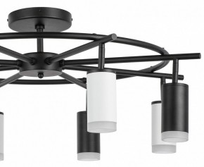 Люстра на штанге Lightstar Rullo LR7183743640 в Екатеринбурге - mebel24.online | фото 4
