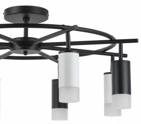 Люстра на штанге Lightstar Rullo LR7183743641 в Екатеринбурге - mebel24.online | фото 4
