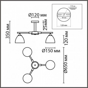 Люстра на штанге Lumion Colange 8095/3C в Екатеринбурге - mebel24.online | фото 5