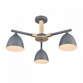 Люстра на штанге Lumion Colange 8096/3C в Екатеринбурге - mebel24.online | фото 3