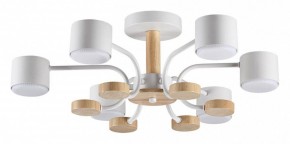 Люстра на штанге Lumion Rondo 8231/6C в Екатеринбурге - mebel24.online | фото
