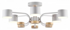 Люстра на штанге Lumion Rondo 8231/6C в Екатеринбурге - mebel24.online | фото 2
