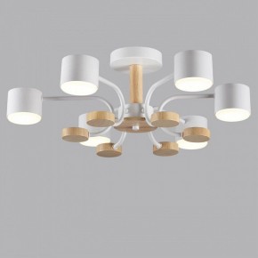 Люстра на штанге Lumion Rondo 8231/6C в Екатеринбурге - mebel24.online | фото 4