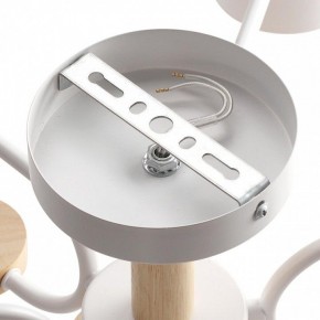 Люстра на штанге Lumion Rondo 8231/6C в Екатеринбурге - mebel24.online | фото 6