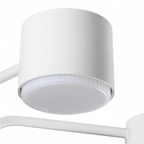 Люстра на штанге Lumion Rondo 8231/6C в Екатеринбурге - mebel24.online | фото 7