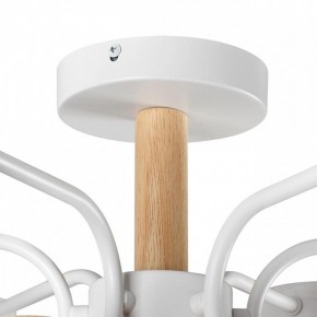 Люстра на штанге Lumion Rondo 8231/6C в Екатеринбурге - mebel24.online | фото 8