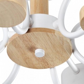 Люстра на штанге Lumion Rondo 8231/6C в Екатеринбурге - mebel24.online | фото 9