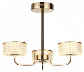 Люстра на штанге Lumion Venice 6579/40CL в Екатеринбурге - mebel24.online | фото 5