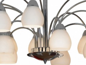 Люстра на штанге Lussole Apiro GRLSF-2403-15 в Екатеринбурге - mebel24.online | фото 12