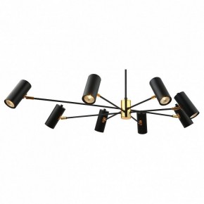 Люстра на штанге Lussole Duncan LSP-8252 в Екатеринбурге - mebel24.online | фото 2
