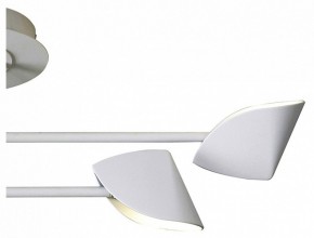 Люстра на штанге Mantra Capuccina 7574 в Екатеринбурге - mebel24.online | фото 3