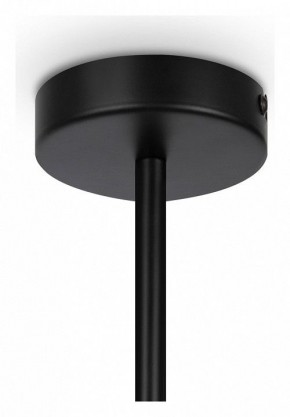 Люстра на штанге Maytoni Memory MOD177PL-04B в Екатеринбурге - mebel24.online | фото 4