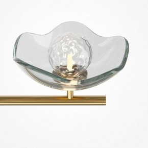 Люстра на штанге Maytoni Miracle MOD207PL-05BS в Екатеринбурге - mebel24.online | фото 5