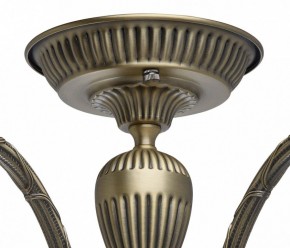 Люстра на штанге MW-Light Аманда 6 481011805 в Екатеринбурге - mebel24.online | фото 10