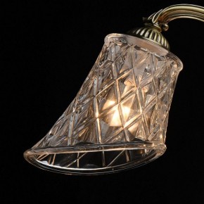 Люстра на штанге MW-Light Ариадна 32 450019105 в Екатеринбурге - mebel24.online | фото 10