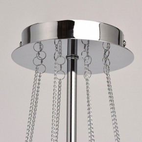 Люстра на штанге MW-Light Федерика 84 684010305 в Екатеринбурге - mebel24.online | фото 13