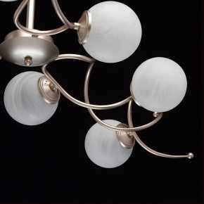 Люстра на штанге MW-Light Оливия 5 306012709 в Екатеринбурге - mebel24.online | фото 10