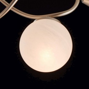 Люстра на штанге MW-Light Оливия 5 306012709 в Екатеринбурге - mebel24.online | фото 6