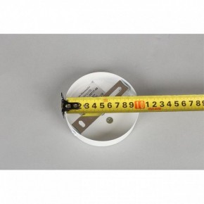 Люстра на штанге Omnilux Mearino OML-29717-08 в Екатеринбурге - mebel24.online | фото 10