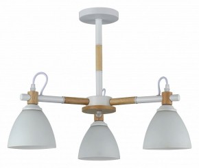 Люстра на штанге Rivoli Louise Б0060982 в Екатеринбурге - mebel24.online | фото