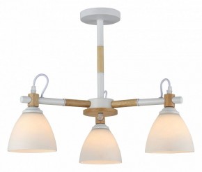 Люстра на штанге Rivoli Louise Б0060982 в Екатеринбурге - mebel24.online | фото 2