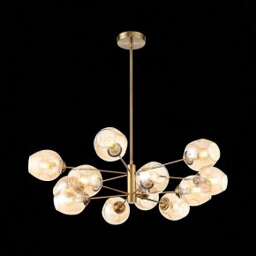 Люстра на штанге ST-Luce Fovia SL1500.203.12 в Екатеринбурге - mebel24.online | фото 4