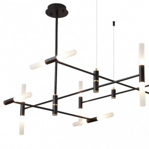 Люстра на штанге ST-Luce  SL1216.403.16 в Екатеринбурге - mebel24.online | фото 3
