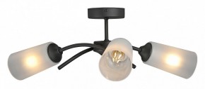 Люстра на штанге Vitaluce V2850 V2850-1/3PL в Екатеринбурге - mebel24.online | фото