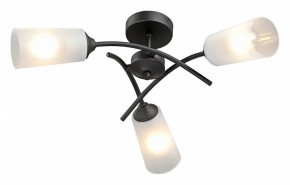 Люстра на штанге Vitaluce V2850 V2850-1/3PL в Екатеринбурге - mebel24.online | фото 2