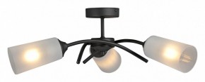 Люстра на штанге Vitaluce V2850 V2850-1/3PL в Екатеринбурге - mebel24.online | фото 3