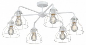 Люстра на штанге Vitaluce V3102 V3102-0/6PL в Екатеринбурге - mebel24.online | фото