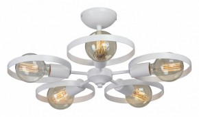 Люстра на штанге Vitaluce V4379 V4379-0/5PL в Екатеринбурге - mebel24.online | фото 2