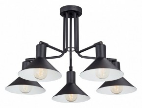 Люстра на штанге Vitaluce V4809 V4809-1/5PL в Екатеринбурге - mebel24.online | фото