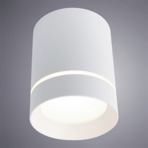 Накладной светильник Arte Lamp Elle A1949PL-1WH в Екатеринбурге - mebel24.online | фото 2