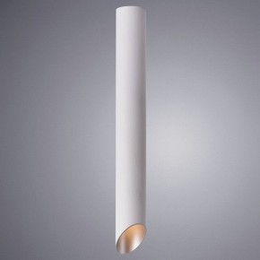 Накладной светильник Arte Lamp Pilon-Silver A1537PL-1WH в Екатеринбурге - mebel24.online | фото 2