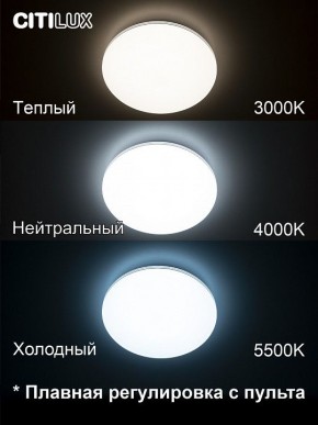 Накладной светильник Citilux Симпла CL714330G в Екатеринбурге - mebel24.online | фото 4