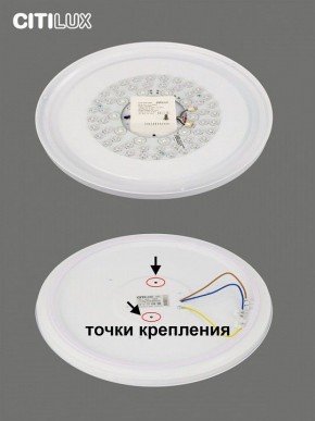 Накладной светильник Citilux Симпла CL714480G в Екатеринбурге - mebel24.online | фото 10