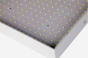 Накладной светильник Favourite Flashled 2066-30C в Екатеринбурге - mebel24.online | фото 2