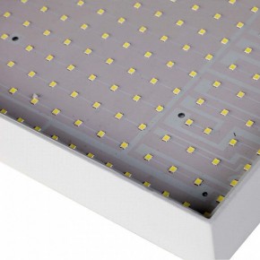 Накладной светильник Favourite Flashled 2066-30C в Екатеринбурге - mebel24.online | фото 4