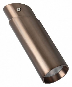 Накладной светильник Favourite Insuper 2798-1U в Екатеринбурге - mebel24.online | фото 2