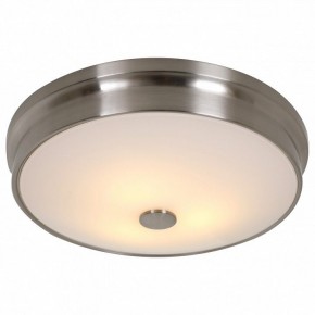 Накладной светильник Favourite Pannikin 2691-3C в Екатеринбурге - mebel24.online | фото 2